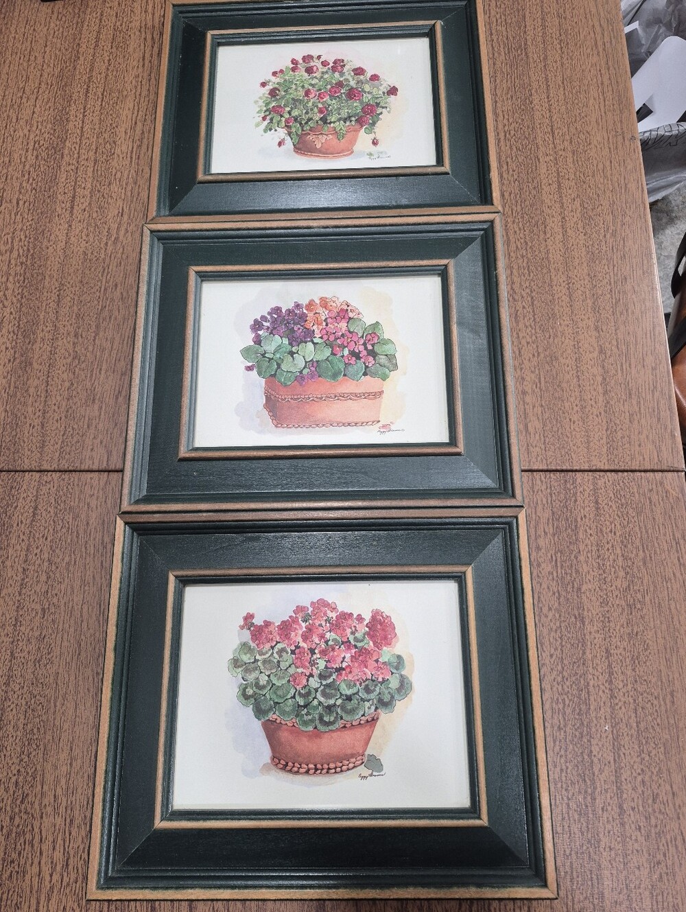 Set Of 3 Framed Peggy Abrams Watercolor Flower Prints